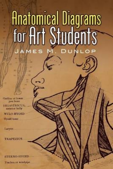 Picture of Anatomical Diagrams for Art Students