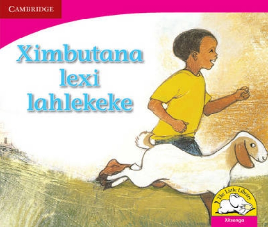 Picture of Ximbutana lexi lahlekeke