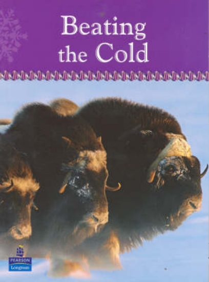 Picture of Beating the Cold
