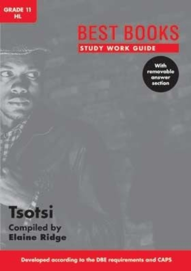 Picture of Study Work Guide: Tsotsi Gr. 11 Hl (Novel & Film S