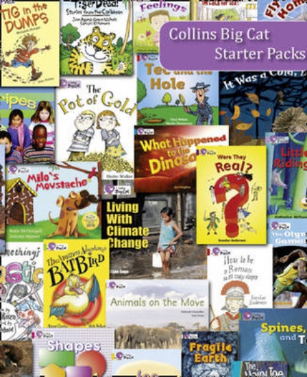 Picture of Yellow 2010 Starter Set
