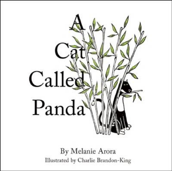 Picture of A Cat Called Panda