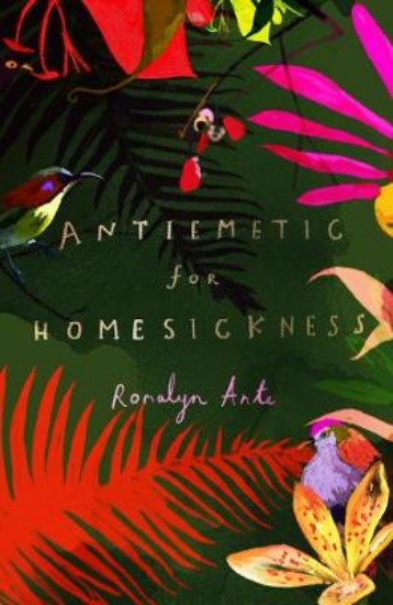 Picture of Antiemetic for Homesickness