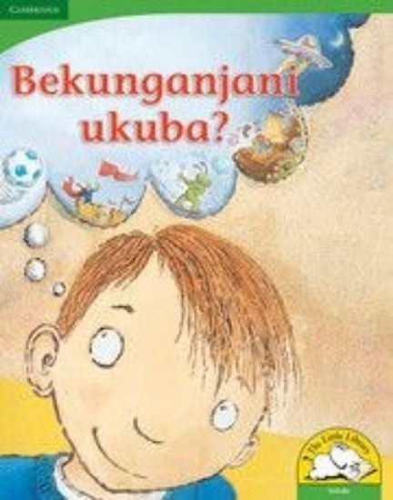 Picture of Bekunganjani ukuba? (Big Book version)