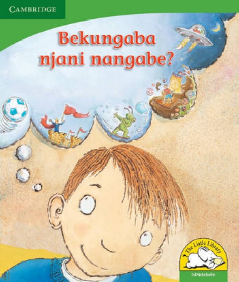 Picture of Bekungaba njani nangabe?