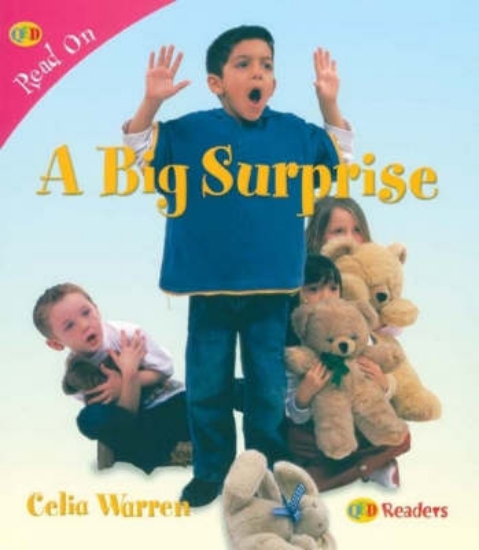 Picture of A Big Surprise