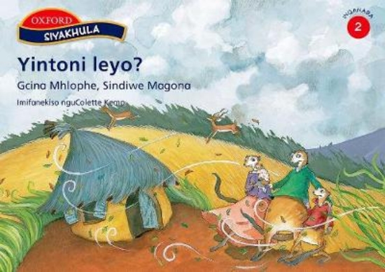 Picture of Yintoni leyo?