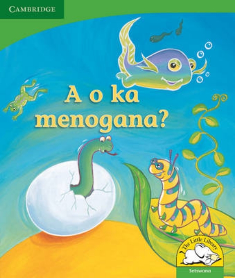 Picture of A o ka menogana?