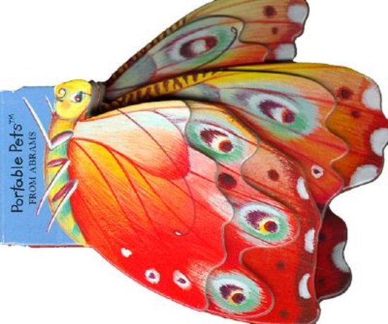 Picture of Butterfly