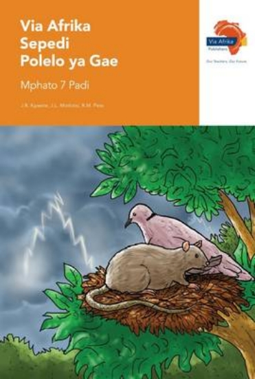 Picture of Via Afrika Sepedi Home Language Grade 7 Reader
Din