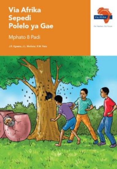 Picture of Via Afrika Sepedi Home Language Grade 8 Reader
Din