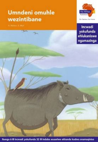 Picture of Via Afrika isiZulu Home Language Intermediate Phas