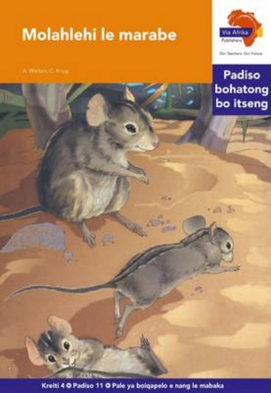 Picture of Via Afrika Sesotho Home Language Intermediate Phas