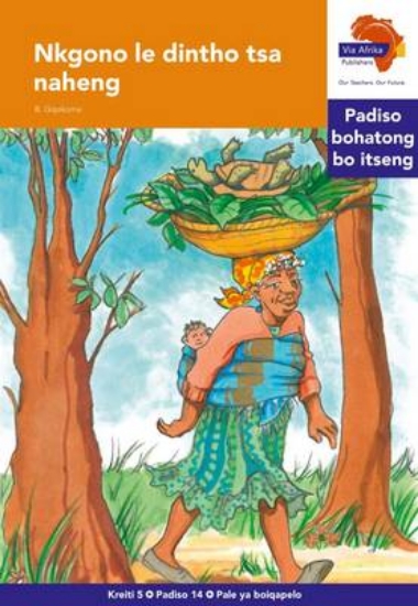 Picture of Via Afrika Sesotho Home Language Intermediate Phas