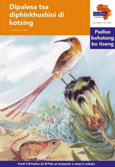Picture of Via Afrika Sesotho Home Language Intermediate Phas