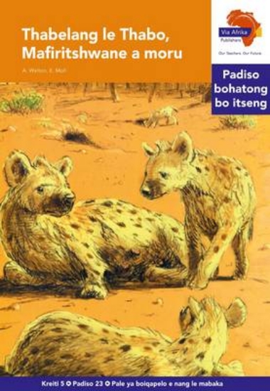 Picture of Via Afrika Sesotho Home Language Intermediate Phas