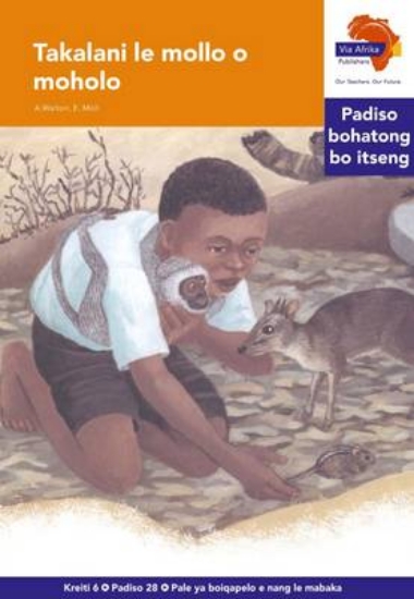 Picture of Via Afrika Sesotho Home Language Intermediate Phas
