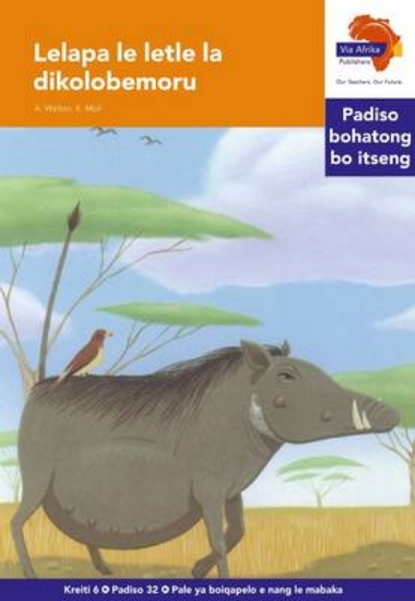 Picture of Via Afrika Sesotho Home Language Intermediate Phas