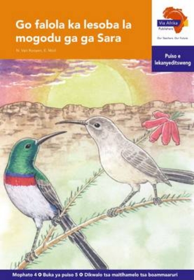 Picture of Via Afrika Setswana Home Language Intermediate Pha