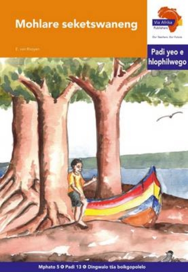 Picture of Via Afrika Sepedi Home Language Intermediate Phase