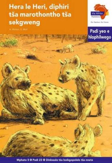 Picture of Via Afrika Sepedi Home Language Intermediate Phase