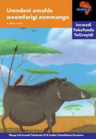 Picture of Via Afrika isiNdebele Home Language Intermediate P
