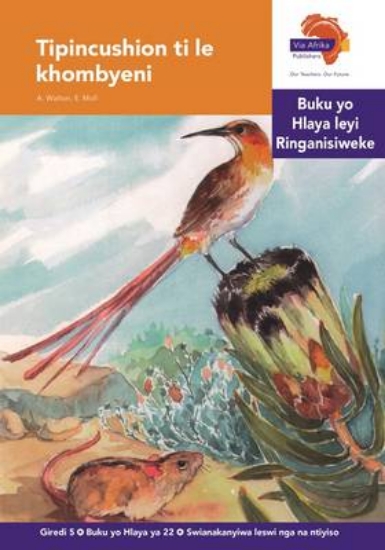 Picture of Via Afrika Xitsonga Home Language Intermediate Pha