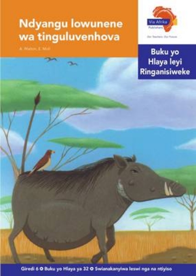 Picture of Via Afrika Xitsonga Home Language Intermediate Pha