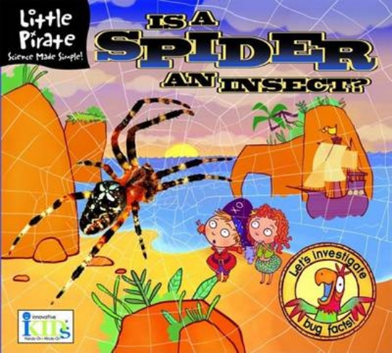 Picture of Is a Spider an Insect?