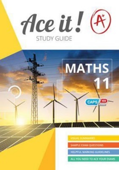 Picture of Ace It! Mathematics Grade 11