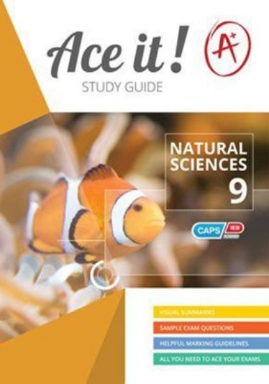 Picture of Ace It! Natural Sciences Grade 9