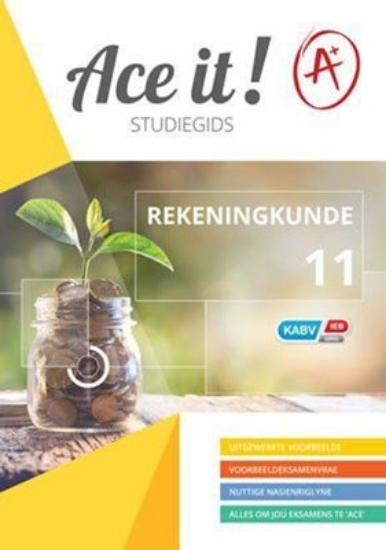 Picture of Ace It! Accounting Grade 11 (Afrik)