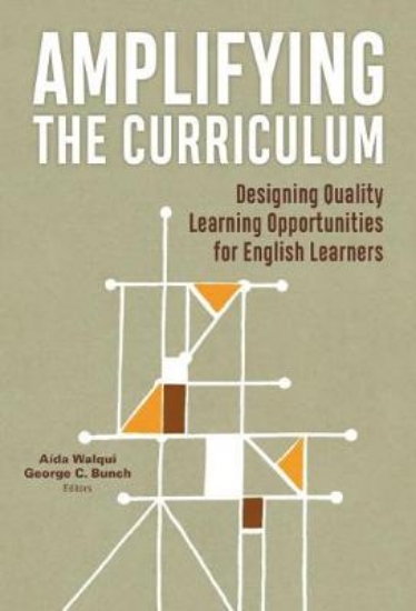 Picture of Amplifying the Curriculum