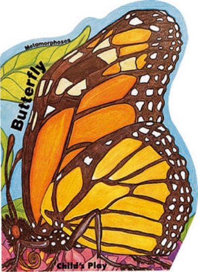 Picture of Butterfly
