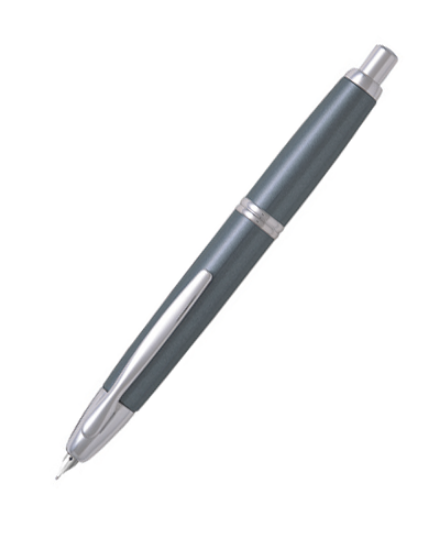 Picture of Capless Fountain Pen Gray and Silver Medium Nib Ea